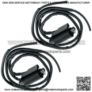 Set of 2 Ignition Coil for Suzuki GSF1200 GSF1200Z Bandit 1200 2001 2002-2005