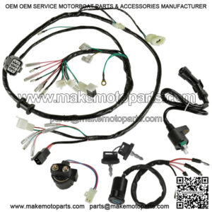 Wire Harness / Starter/ Ignition Key Switch ,Coil Honda FourTrax TRX 300 1997-00