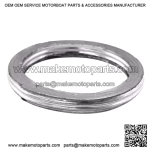 Exhaust gasket ODES 800 21040400101