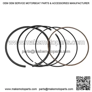 Piston rings ODES 21170100301