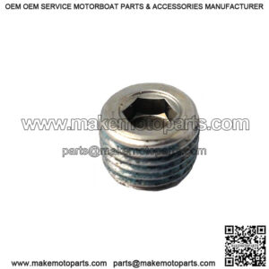 Oil Hub Plug, 1/8" NPT