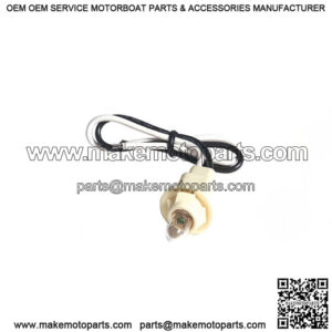 Socket Repair Assembly