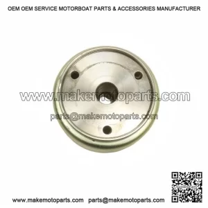 Housing Magneto Rotor Sprag Clutch 420259480 39981 for Can-Am Rally 175 06