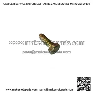 OEM Hex Screw 207161844 for 2001-07 Can-Am DS