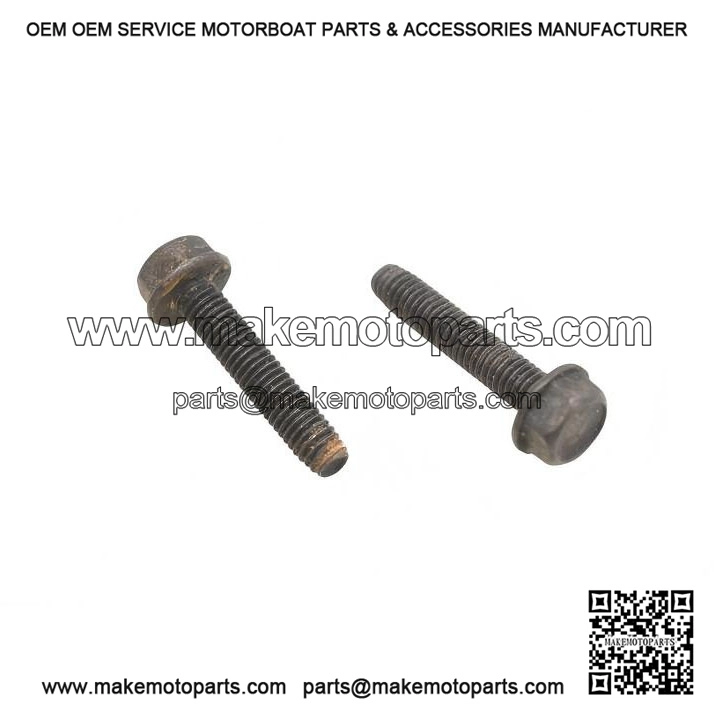 Hex Flange Screws M6x30 210263080