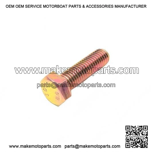 Hex Cap Screw 10x25 207103544
