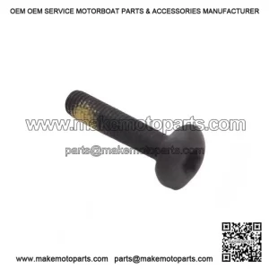 Torx Screw M5x25 250000300