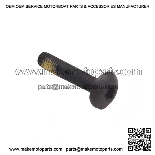 Torx Screw M5x25 250000300